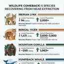 새마을동물병원 이미지