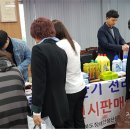 익산종합기획