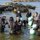 진리와바다 이미지