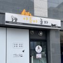 야옹아놀자구리 | 별내,갈매 고양이 무마취 미용_[야옹아놀자 구리태릉점]: 처음 맡겼는데 완전만족해요!