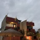 광해수산 | 태안 모항항 수산물직판장 방문후기 내돈내산 삼복수산 도다리회 강추에요!