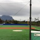 대정생활야구장 이미지