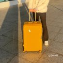 인디고PC | 24인치캐리어 제주도여행에서 대만족한 밤켈 아웃트래블러 후기