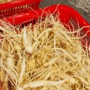 금산수삼센타 | 지인 부탁으로 금산수삼센터 방문기-산지에서 신선한 수삼 인삼 구입 리얼 후기?