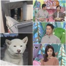 김재윤농장 이미지