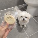 NEW 반려동물을 위한 수제간식&아로마제품 제작반 | 천연수제애견샴푸바 씨오포레 강아지샴푸바 1+1할인 후기