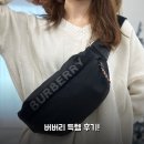 고려잡화상회 | 버버리 벨트백 힙색 10% 추가 할인 써보니