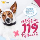 같이