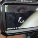 범용카센타 | 중고차 성능보증보험 100만원 보상 후기 - 테슬라 Y 정밀 점검