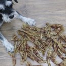 간식줄까? 이미지