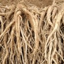 으뜸농장 2 이미지