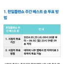 공지사항＞ 한일톱텐쇼! 주간 베스트 송 투표 방법(현역가왕전 투표 방식과 동일) 이미지