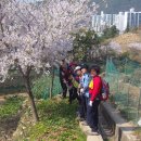 금정-4 이미지