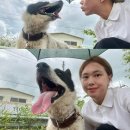 신상곡 | Daylog▶출근🧪·엄마랑 고기뷔페·후식 티코·영화 파수꾼·런닝🏃🏻‍♀️‍➡️·오버워치🔫