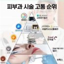 주말에 본 몇가지 투자 자료들