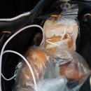 바게트왕자 슈크림공주 이미지