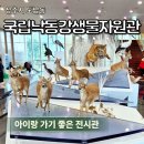 생활-생물-생태 프로그램(상반기) | 상주 도남동 국립낙동강생물자원관 실내 전시관 아이랑 가기 좋은 곳 후기