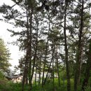 사라수변공원입구 이미지