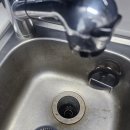 드림동물약품 | 부산해운대좌동SK허브올리브복층오피스텔 입주청소/동물털제거