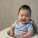 싸이벡스 올인원 하이체어 레모 14개월 사용후기 내돈내산 솔직리뷰
