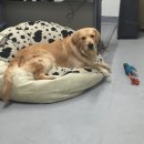 부마클럽 이미지