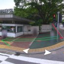 신영프라자약국 네이버블로그