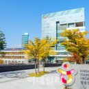도현지 이미지
