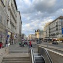 비너발트 이미지