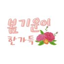 당진계란