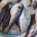 복어마을 이미지