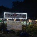 춘천 신북 만두국 맛집 “마적산 손만두” 김치만두국 찐맛집 내돈내산 추천후기