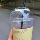브라운칩 이미지