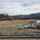 유영자농장 이미지