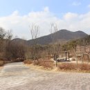 세종동_전월산 무궁화 테마공원 이미지