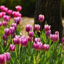 원신공원 이미지