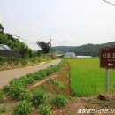 신호 묘 이미지