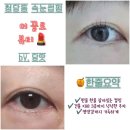 더반함뷰티 | 청당동 속눈썹펌 13년 짬바 느껴지는 더끌로뷰티 원장님 블랙틴팅펌 반함