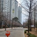 영동일고등학교 내 이미지