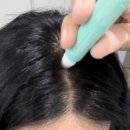 point&헤어 | 두피케어 추천 ㅣ 아베아 두피영양제 헤어토닉 후기