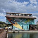 남대천L | 양양 놀거리 가볼만한곳 카페둔치 전동보트 체험 후기