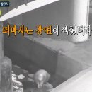 화순천 이미지