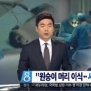 머리박사 이미지