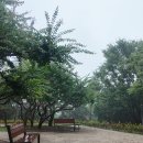 침산공원 이미지