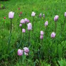 지리산생태체험단지 이미지