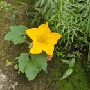 아침풍경 이미지