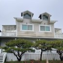 베라데로 | 태안펜션) 베라데로펜션 솔직한 내돈내산 후기 노포샵!!!(태안펜션/태안 애견동반펜션)