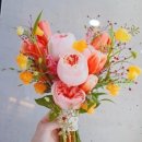 민지플라워 이미지