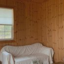 제부 포레스트 이미지