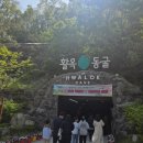 충주교통㈜ | 충주 활옥동굴 | 동굴 카약,넷플릭스 촬영지,형광 벽화까지 다 있는 충북 여행 필수 코스
