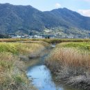 순천만국가정원(동문) | 순천만국가정원 동문 코스 꿀팁 소요시간 볼거리 경로 추천